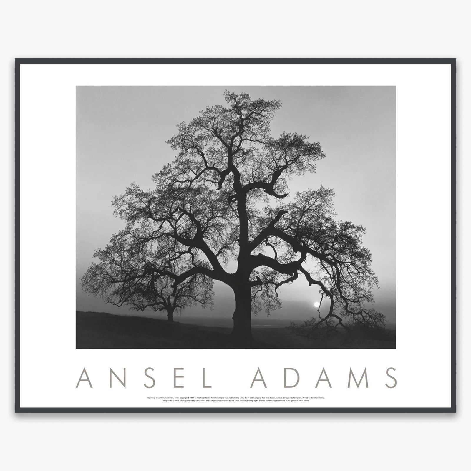 Oak Tree, Sunset City Shop: Poster Ansel Adams Framed Poster Contrast Gray Metal 