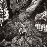 Edward Weston, Carmel Highlands Original Photograph Ansel Adams 