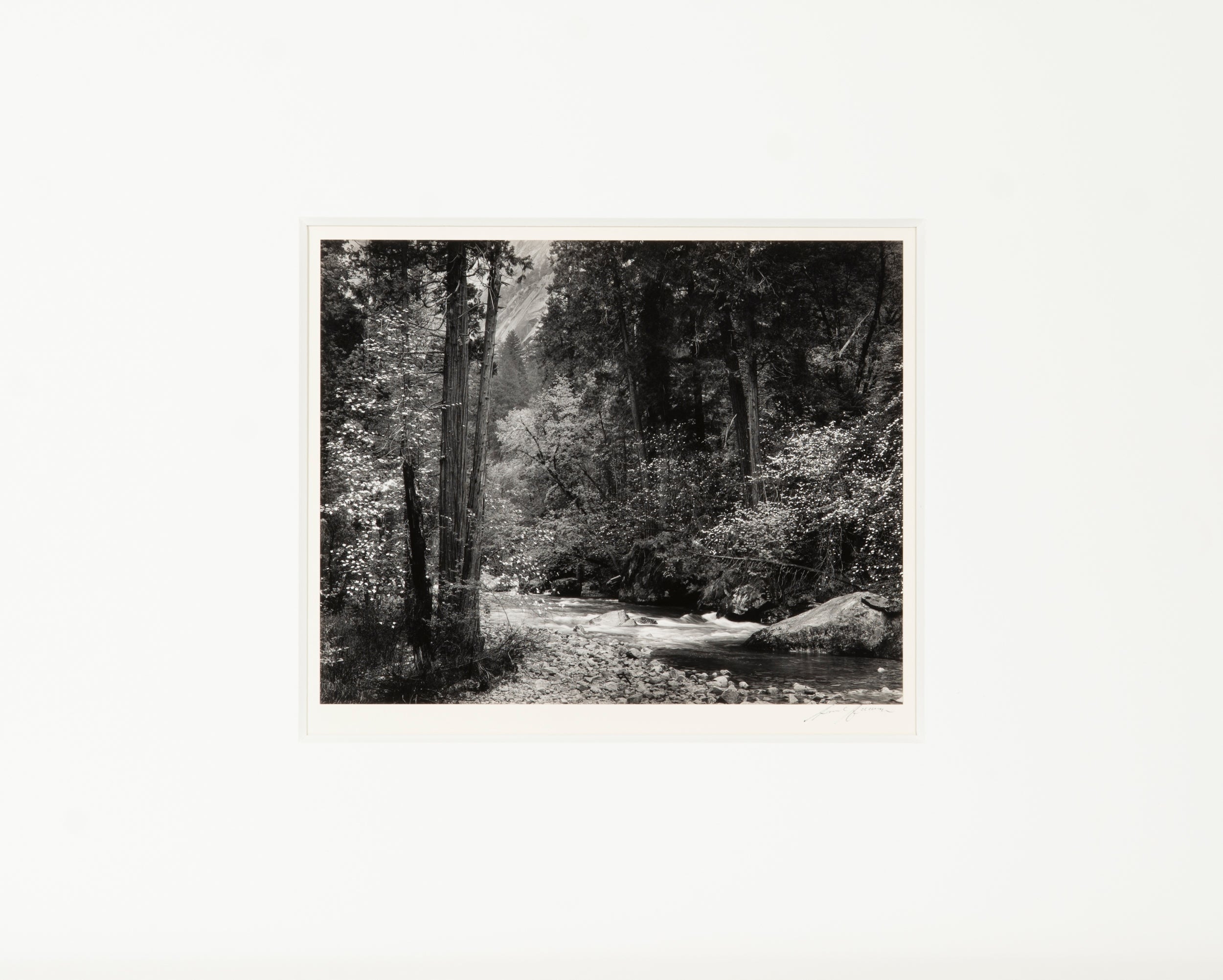 Tenaya Creek, Spring Rain Original Photograph Ansel Adams 