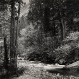 Tenaya Creek, Spring Rain Original Photograph Ansel Adams 