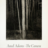 Aspens, Northern New Mexico (V) Shop_Sign_AAOP Ansel Adams Gallery 