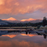 Mt. Dana and Mt. Gibbs Reflected in the Tuolumne River Shop William Neill 11"x14" 