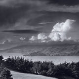 **New** The Golden Gate Series Shop Ansel Adams Gallery 