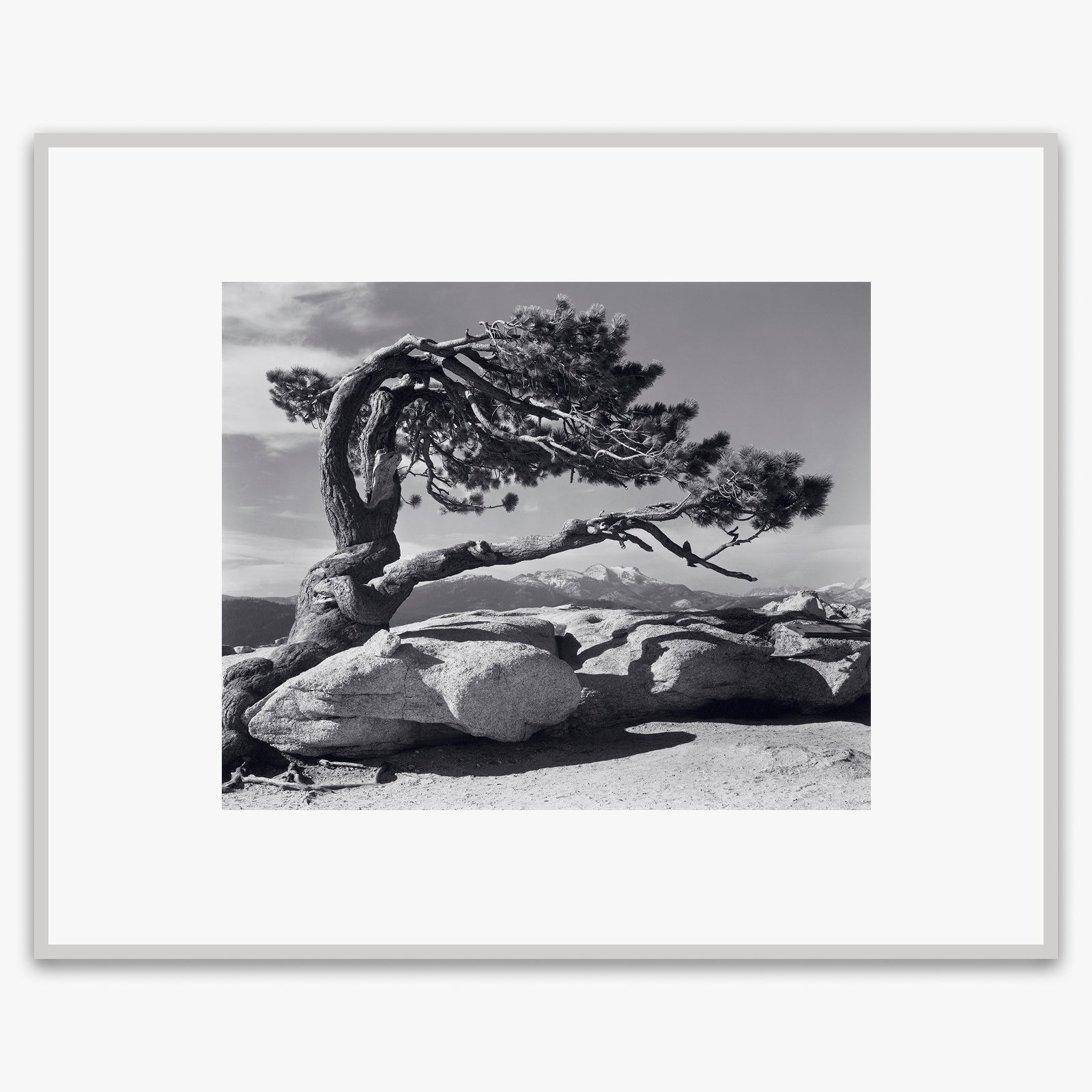 Jeffrey Pine Shop_Repro_MR Ansel Adams Gallery 