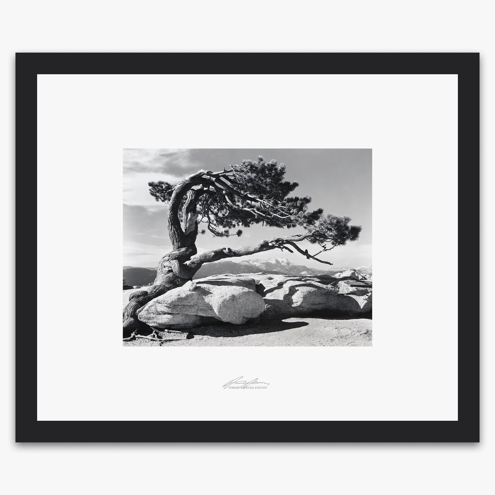 Jeffrey Pine, Sentinel Dome Shop_Repro_SEP The Ansel Adams Gallery Framed Standard Black Wood 