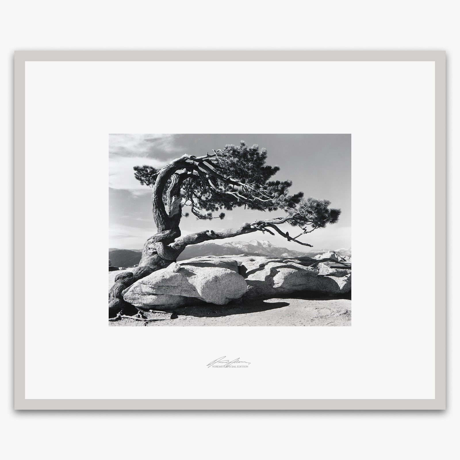 Jeffrey Pine, Sentinel Dome Shop_Repro_SEP The Ansel Adams Gallery Framed Standard German Silver Metal 