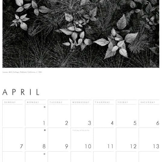 Ansel Adams 2025 Wall Calendar Shop Little, Brown 