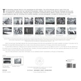 Ansel Adams 2025 Wall Calendar Shop Little, Brown 