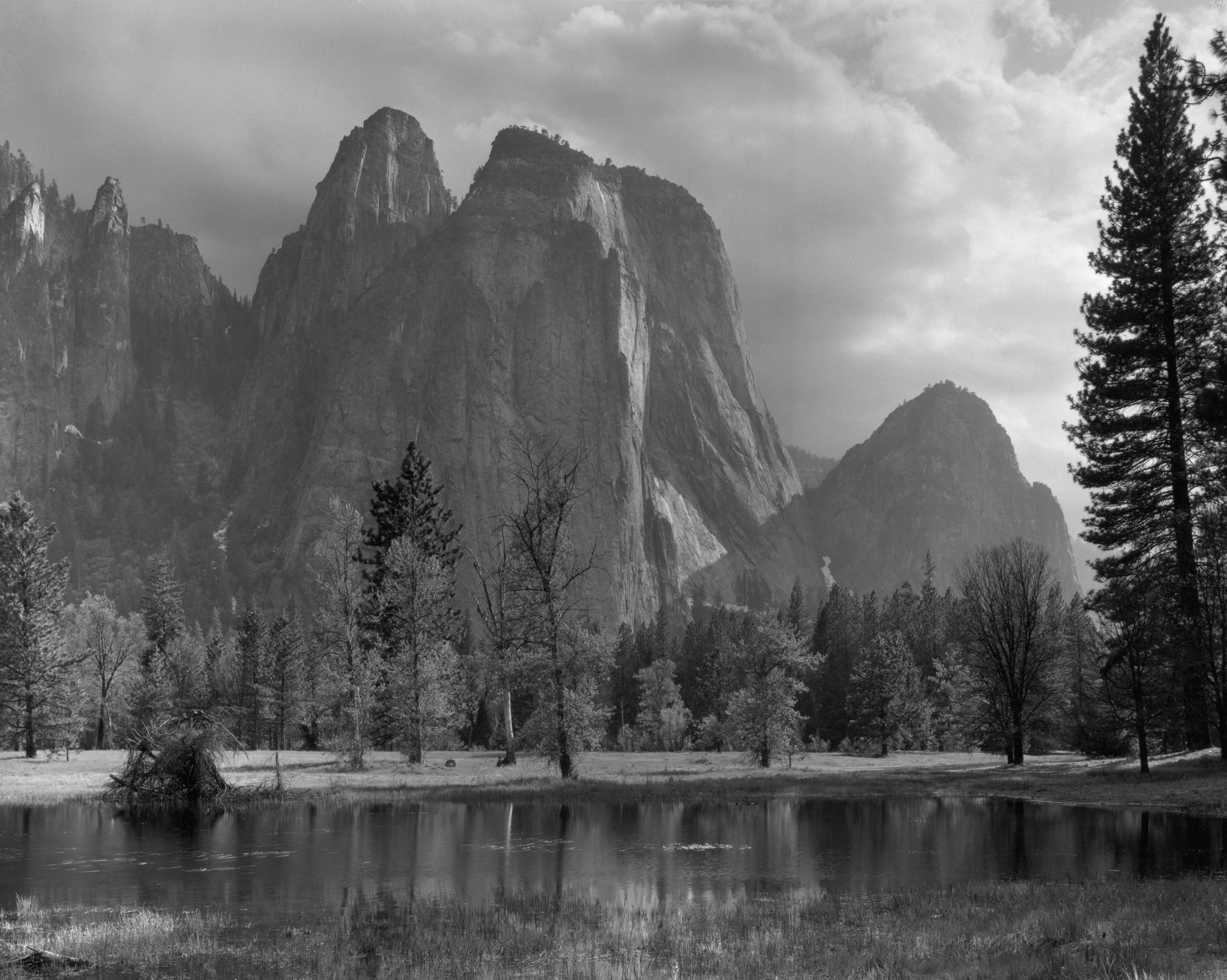 Cathedral Rocks, Yosemite Shop_Medium_Print Ansel Adams 