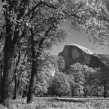 Half Dome, Autumn Shop_Medium_Print Ansel Adams 