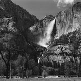 Yosemite Falls and Meadow Shop_Medium_Print Ansel Adams 