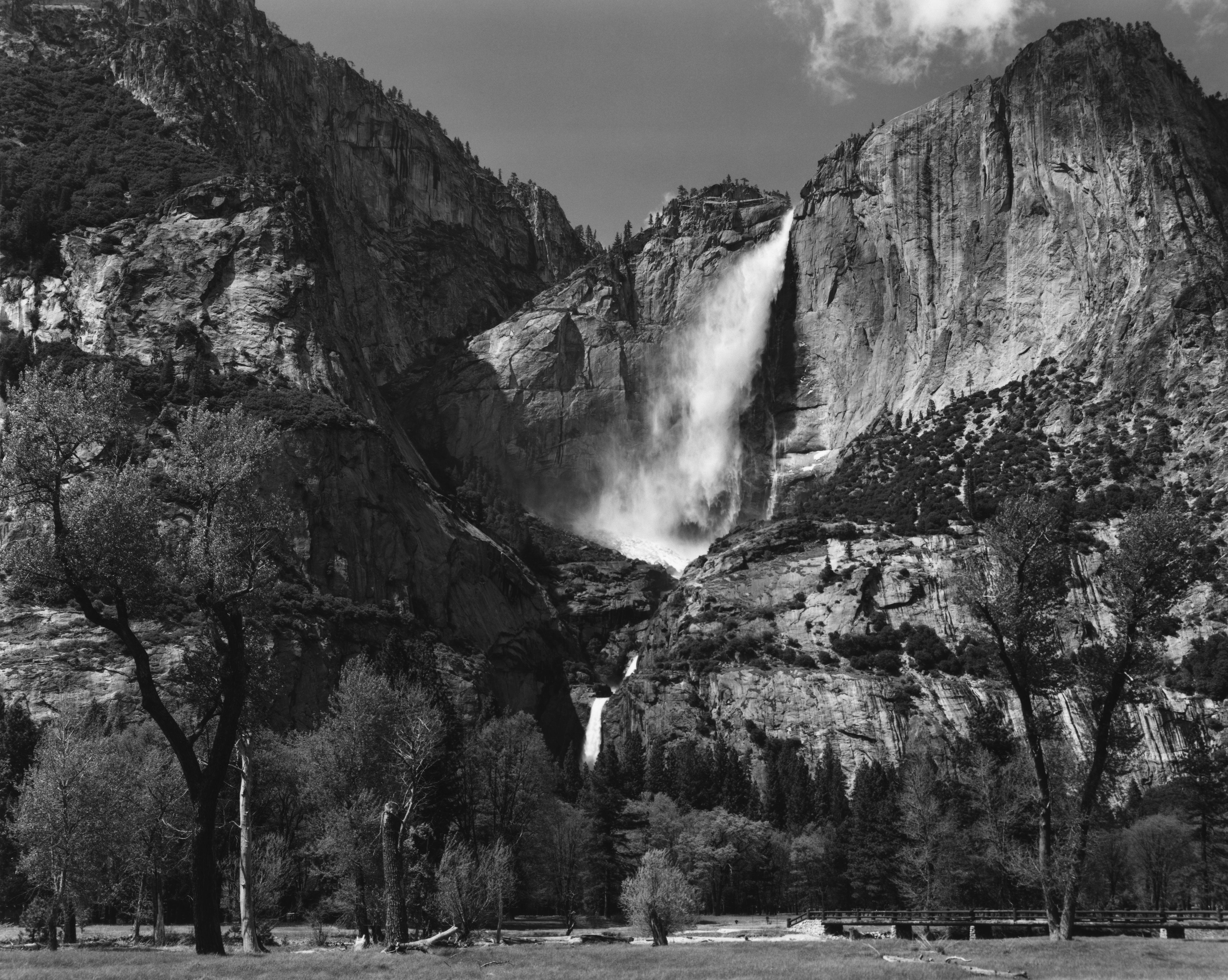 Yosemite Falls and Meadow Shop_Medium_Print Ansel Adams 