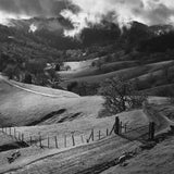 Pasture, Sonoma County Shop_Medium_Print Ansel Adams 