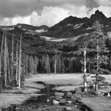 Mount Ansel Adams, Lyell Fork of the Merced River Shop_Medium_Print Ansel Adams 