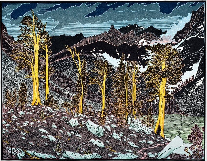 Big Arroyo, Foxtail Pines Shop Tom Killion 