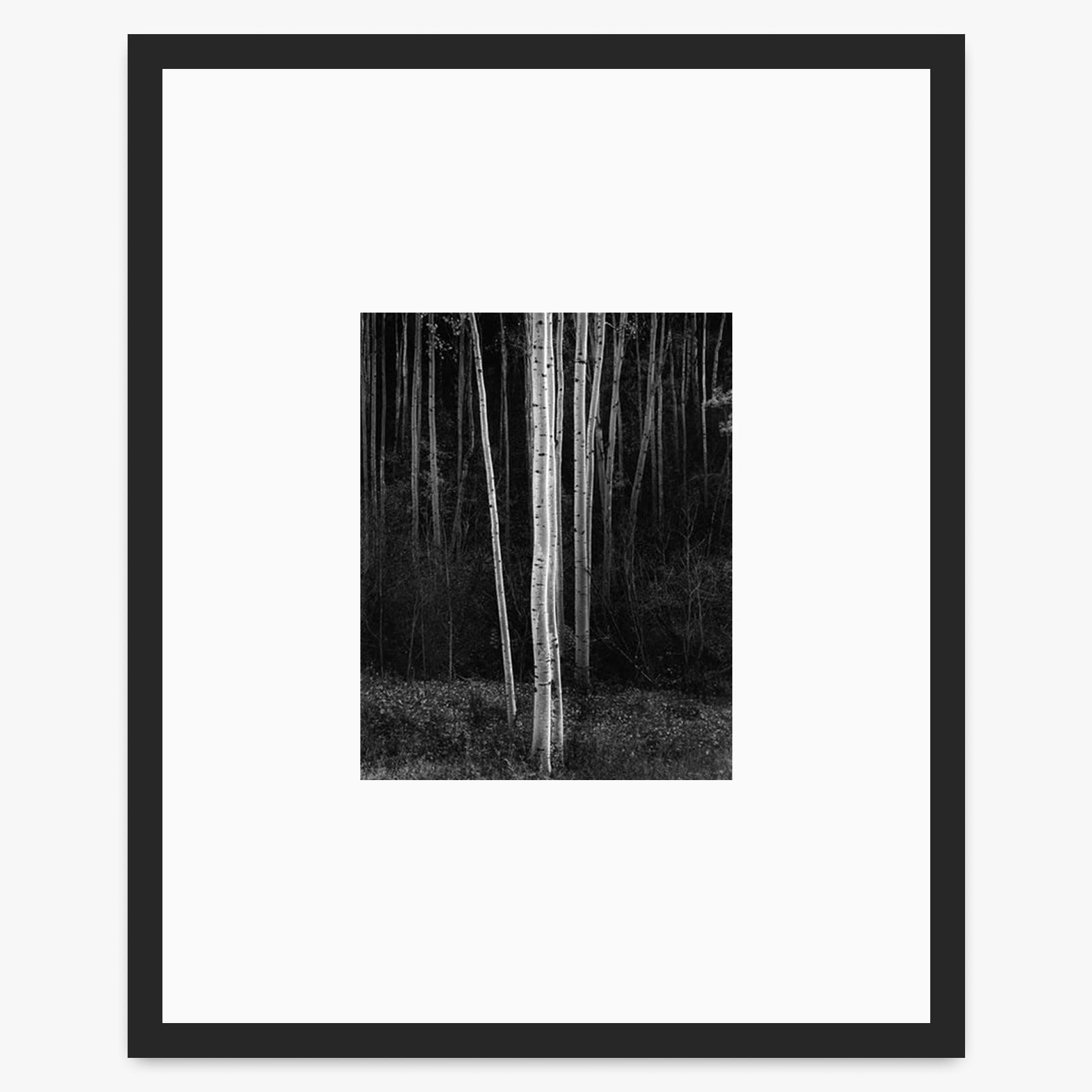 Aspens (Vertical) Shop_Small_Print Ansel Adams Matte Black Metal 