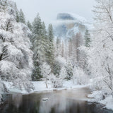 When it Snows in Yosemite Shop charlotte gibb 