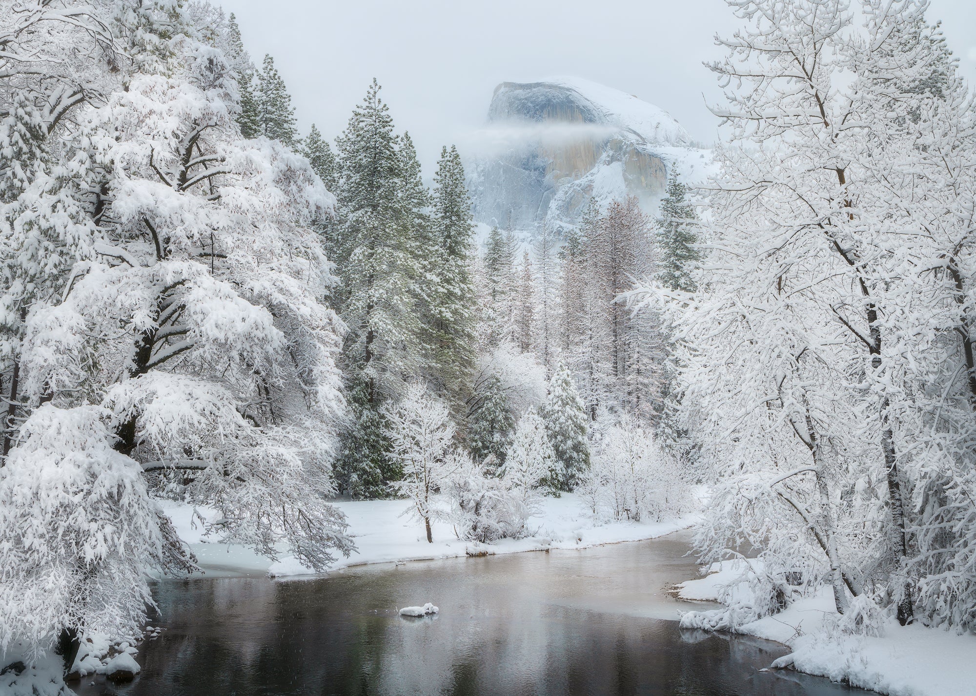 When it Snows in Yosemite Shop charlotte gibb 