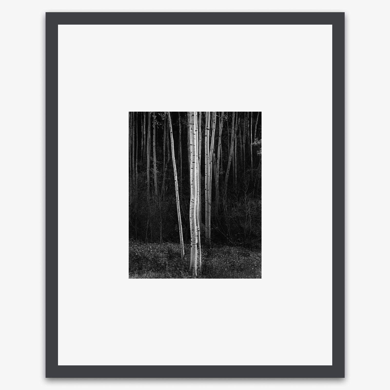 Aspens (Vertical) Shop_Small_Print Ansel Adams Contrast Gray Metal 