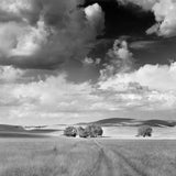 Farm and Clouds, Mule Creek, New Mexico Shop Alan Ross 11"x14" 