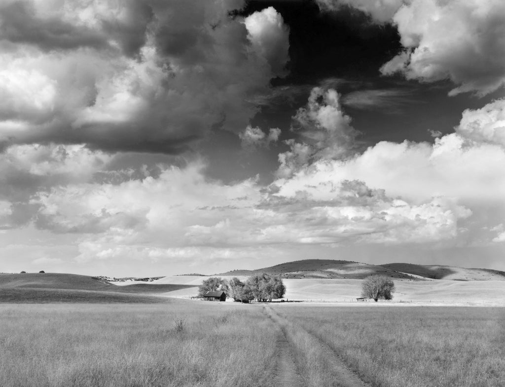 Farm and Clouds, Mule Creek, New Mexico