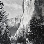 El Capitan explore photographs The Ansel Adams Gallery 