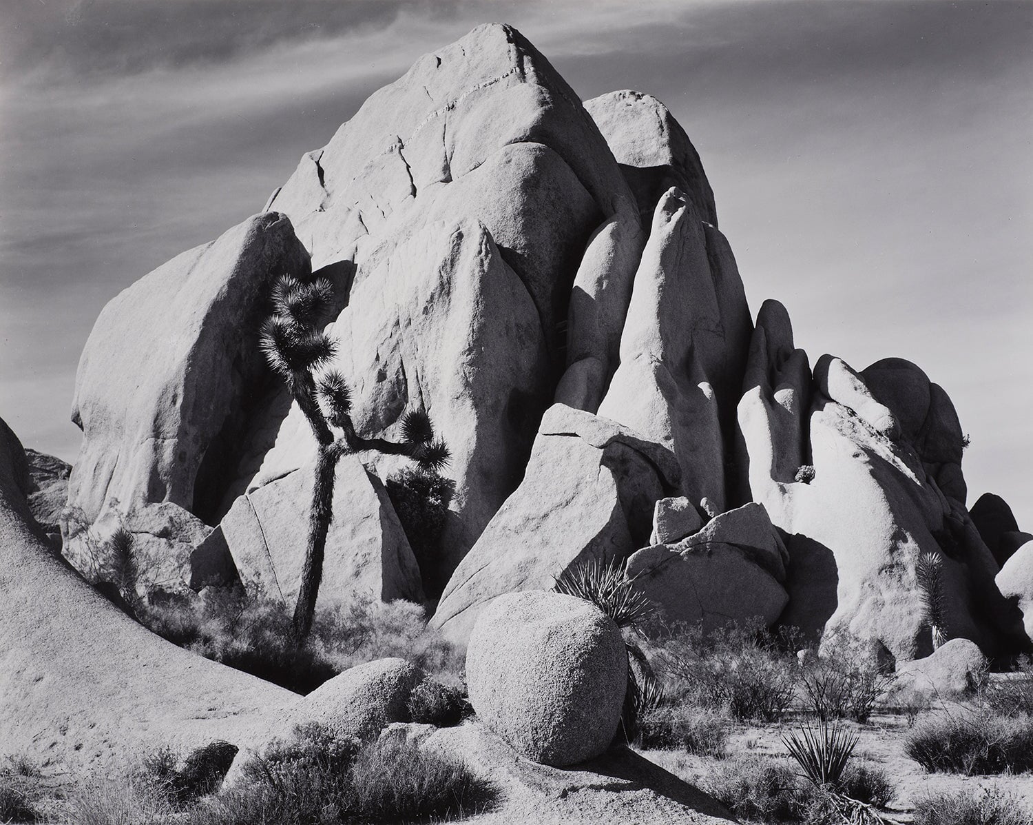 In Joshua Tree National Monument, California explore photographs The Ansel Adams Gallery 