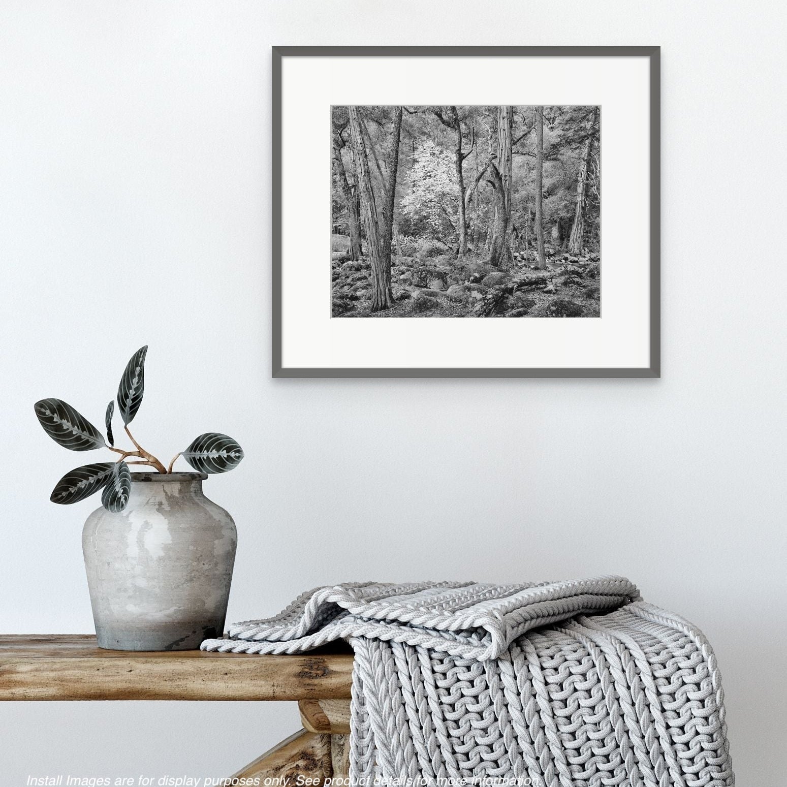 Forest in Spring, Happy Isles, Yosemite Valley, CA 1989 Shop John Sexton 