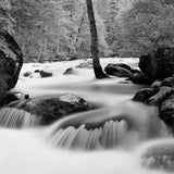 Merced River, Happy Isles, Yosemite Valley Shop John Sexton 