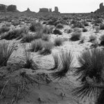 Monument Valley (floor) explore photographs The Ansel Adams Gallery 