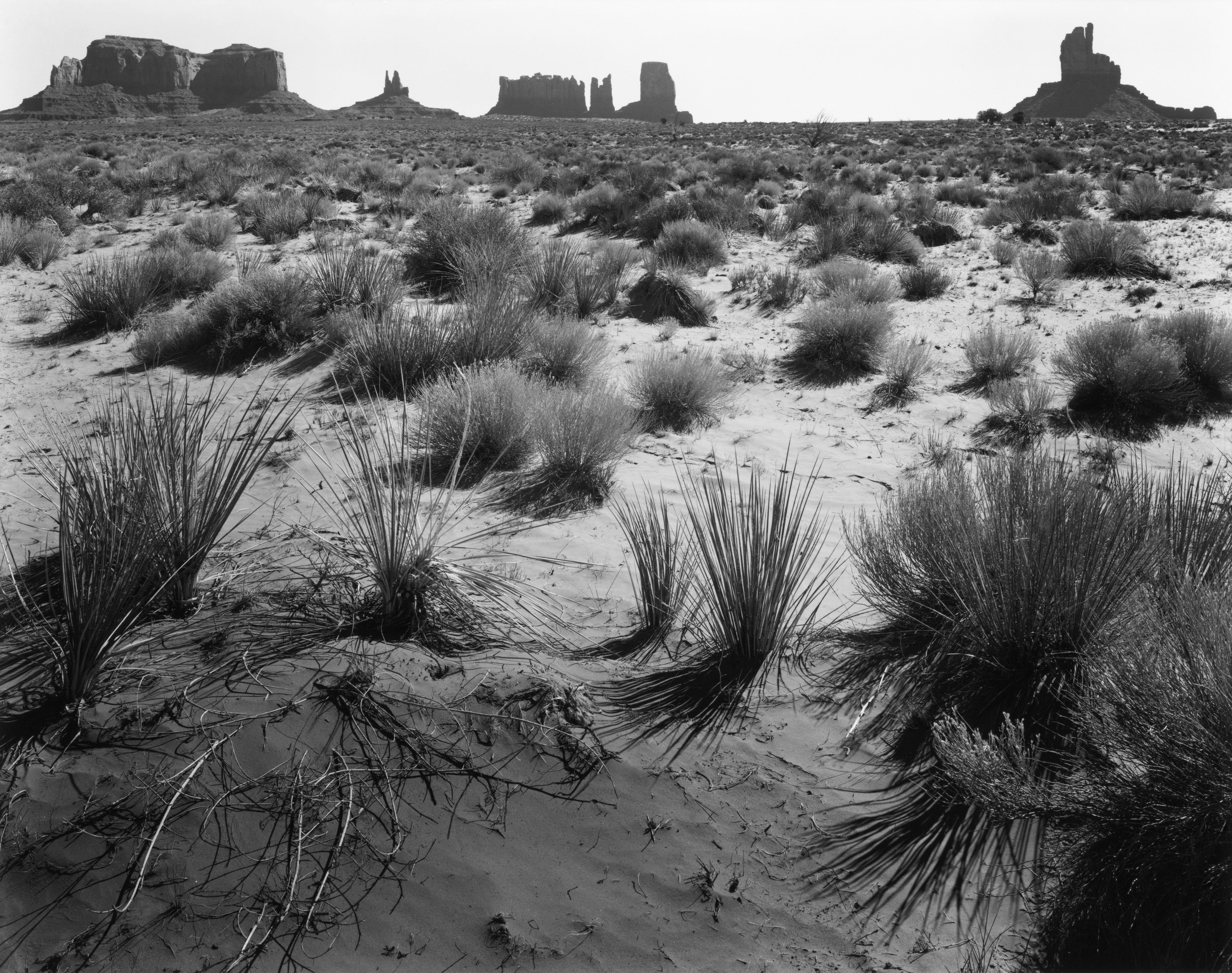 Monument Valley (floor) explore photographs The Ansel Adams Gallery 