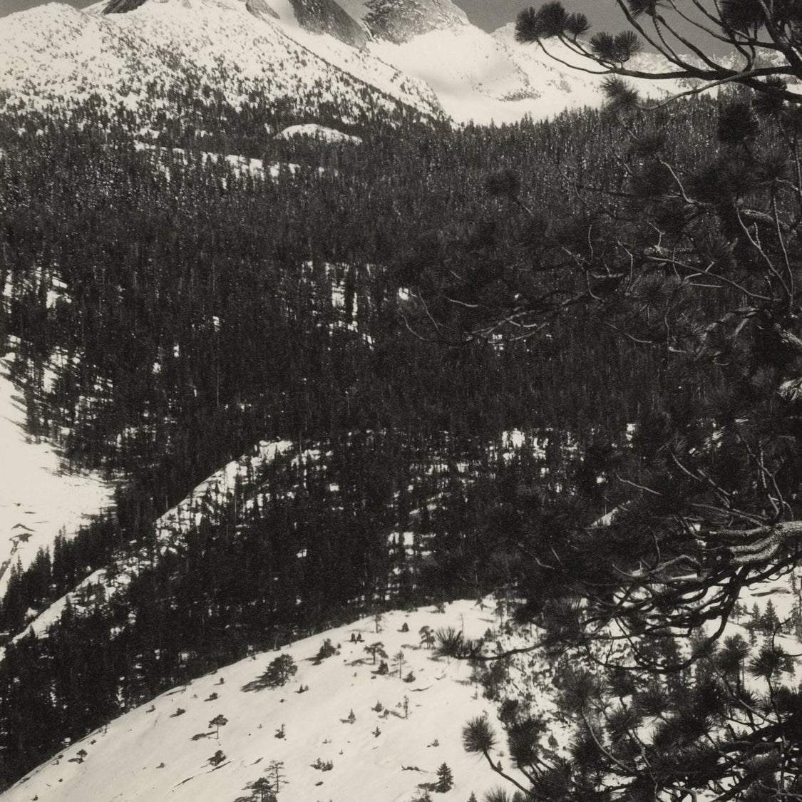 Mount Galen Clark explore photographs The Ansel Adams Gallery 