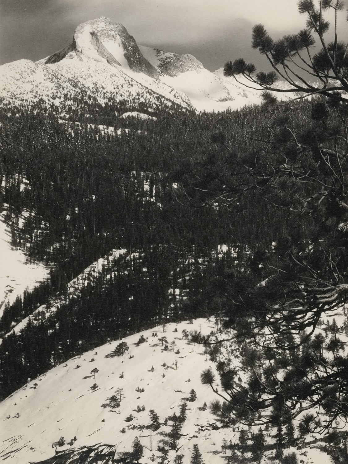 Mount Galen Clark explore photographs The Ansel Adams Gallery 