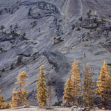 Pines and Granite, Merced River Canyon Shop Charles Cramer 