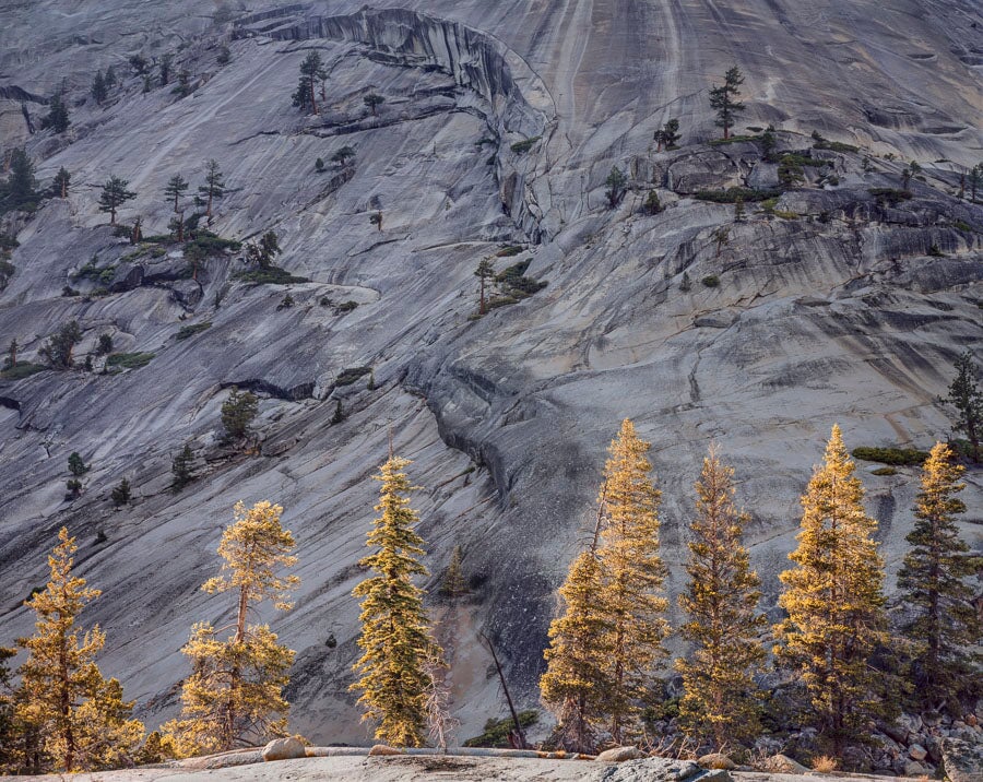 Pines and Granite, Merced River Canyon Shop Charles Cramer 