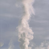 Bison and Clepsydra Geyser, Yellowstone Shop Keith Walklet 