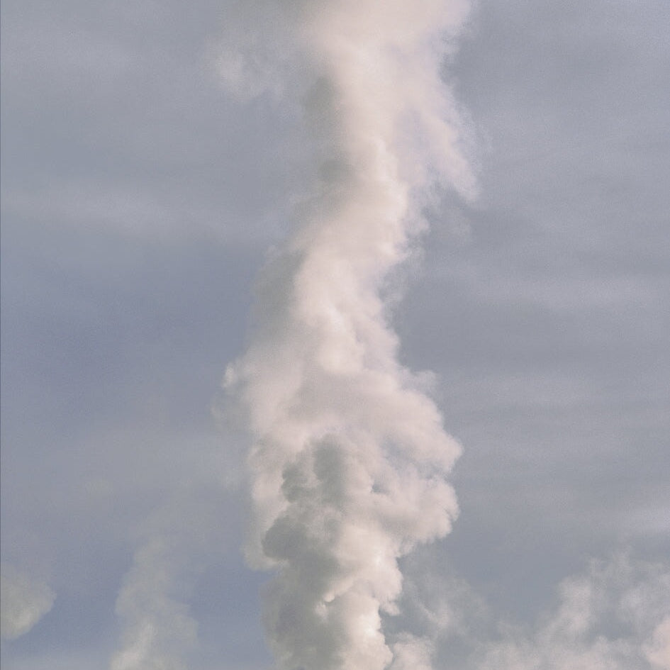 Bison and Clepsydra Geyser, Yellowstone Shop Keith Walklet 