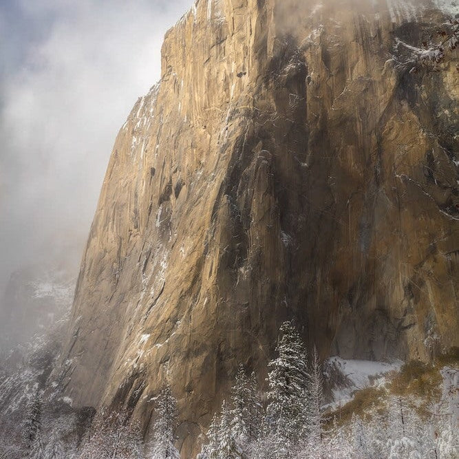 Quintessential Yosemite Shop charlotte gibb 