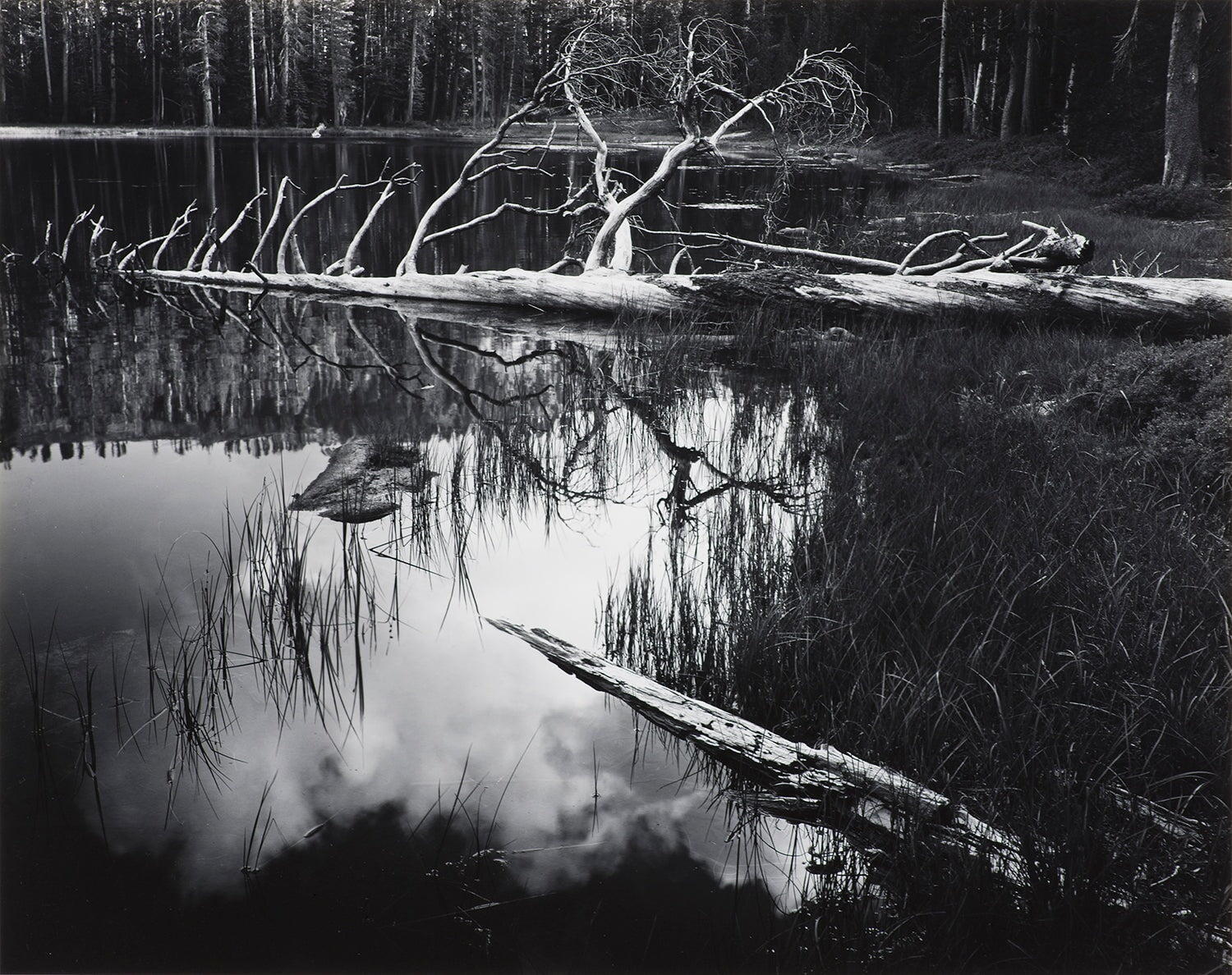 Siesta Lake explore photographs The Ansel Adams Gallery 