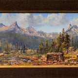 Soda Springs, Tuolumne Meadows Shop James McGrew 