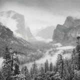 Spring Rain, Yosemite Valley Shop_Represented_Artist Bob Kolbrener 