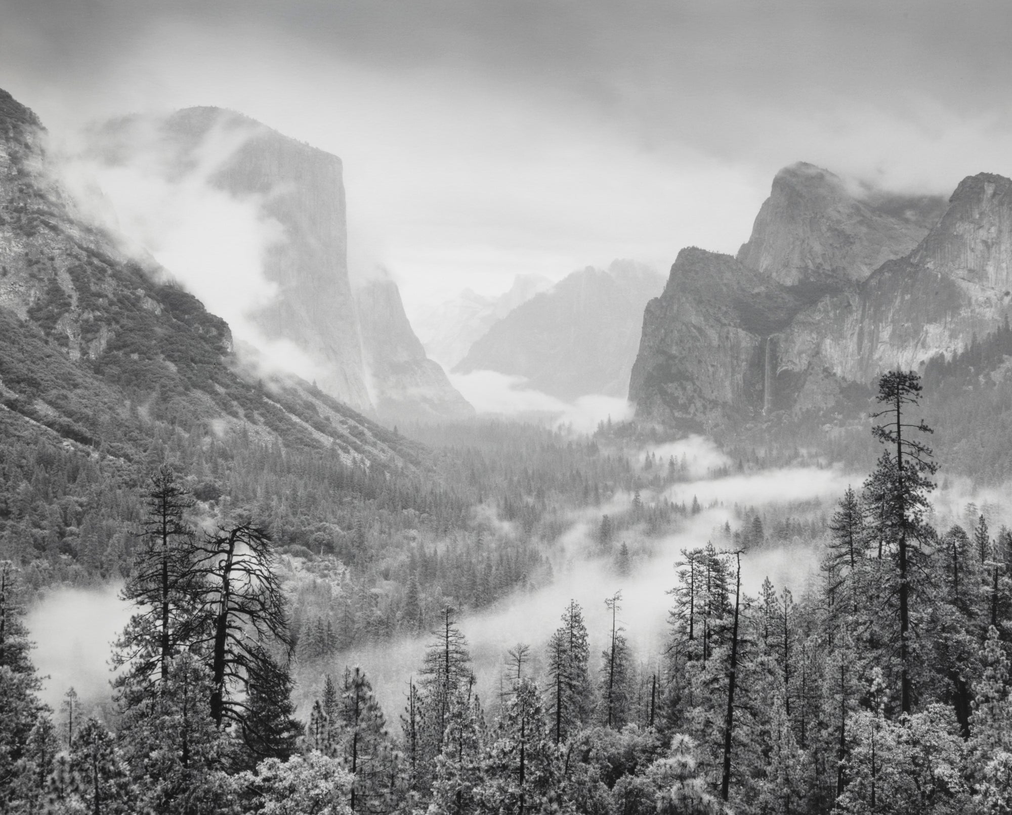 Spring Rain, Yosemite Valley Shop_Represented_Artist Bob Kolbrener 