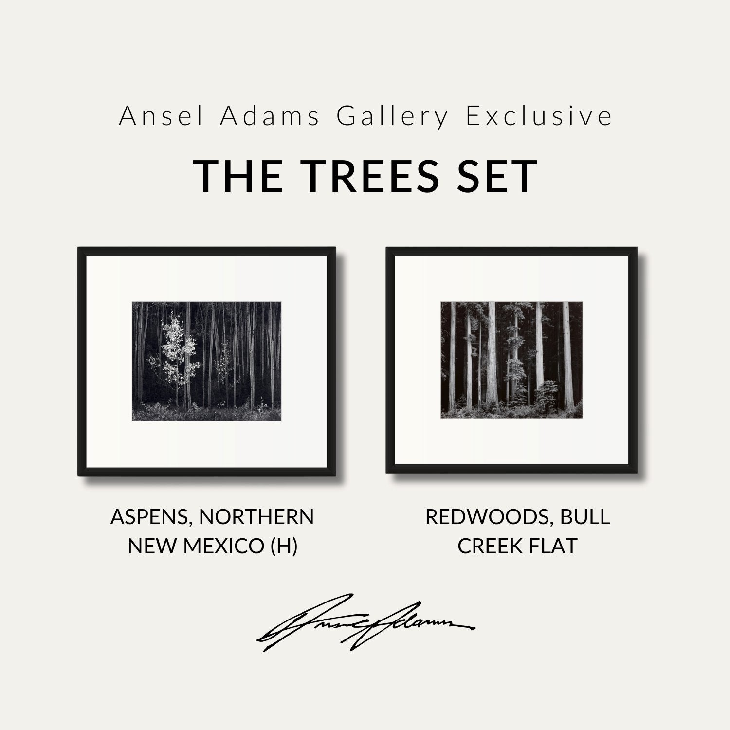 The Trees Set Shop Ansel Adams Gallery Standard Framed Set 8x10" 8x10" Black Wood