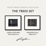 The Trees Set Shop Ansel Adams Gallery Standard Framed Set 8x10" 8x10" Black Wood