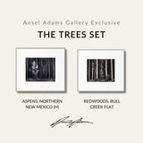 The Trees Set Shop Ansel Adams Gallery Standard Framed Set 8x10" 8x10" Graphite Metal