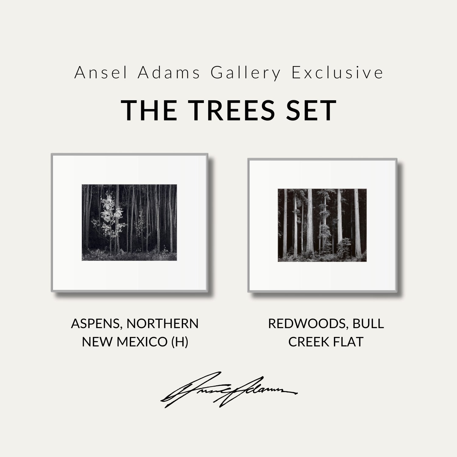 The Trees Set Shop Ansel Adams Gallery Standard Framed Set 8x10" 8x10" German Silver Metal