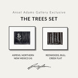 The Trees Set Shop Ansel Adams Gallery Standard Framed Set 8x10" 8x10" Matte Black Metal