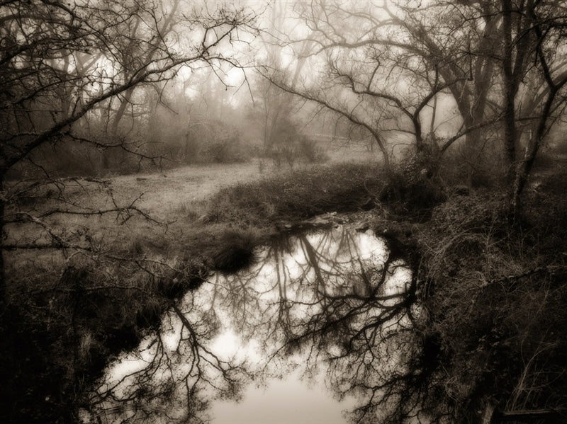 Pond, near Shingle Springs, California.