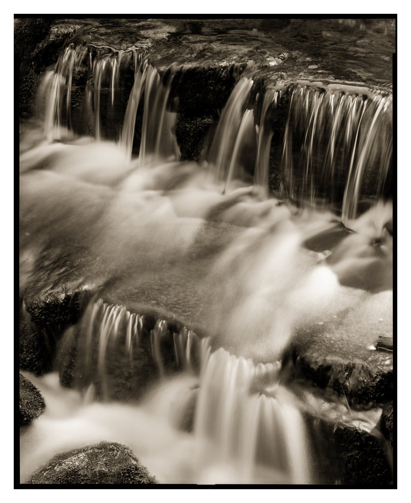 Fern Spring, Yosemite 2016