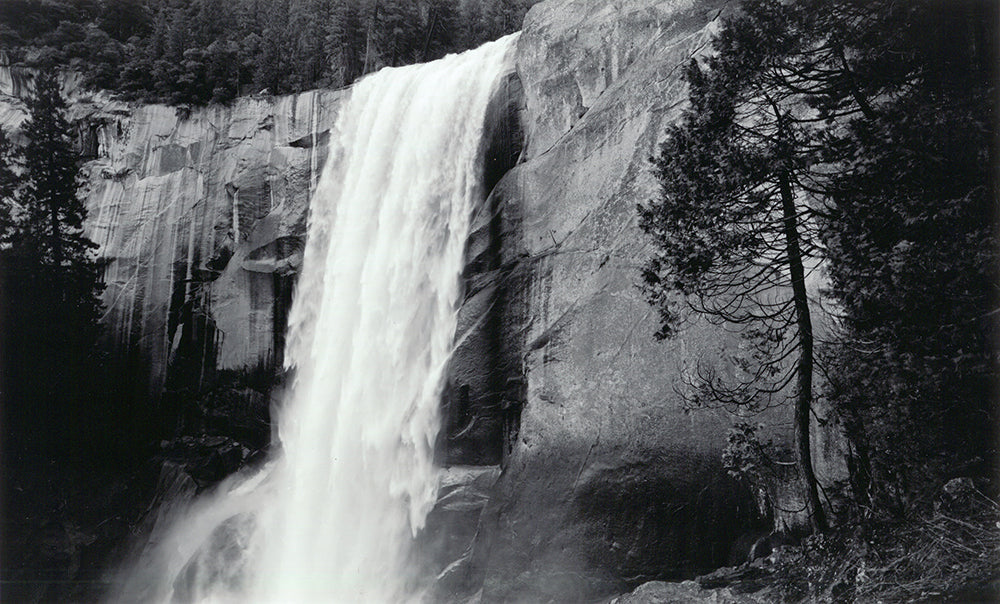 Vernal Fall and Tree, 1995